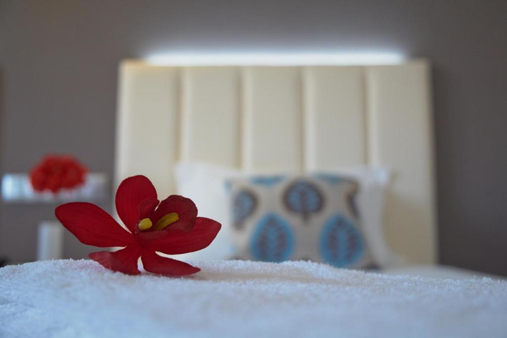 Hotel Azinheira By Ridan Hotels Fátima Pokoj fotografie